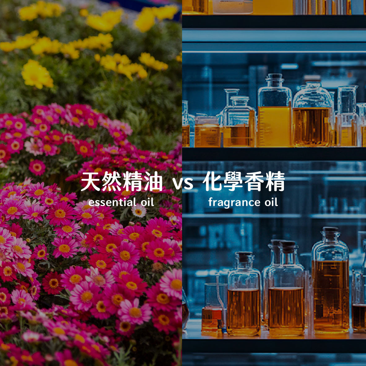 天然精油 vs 化學香精：全面剖析它們的分別